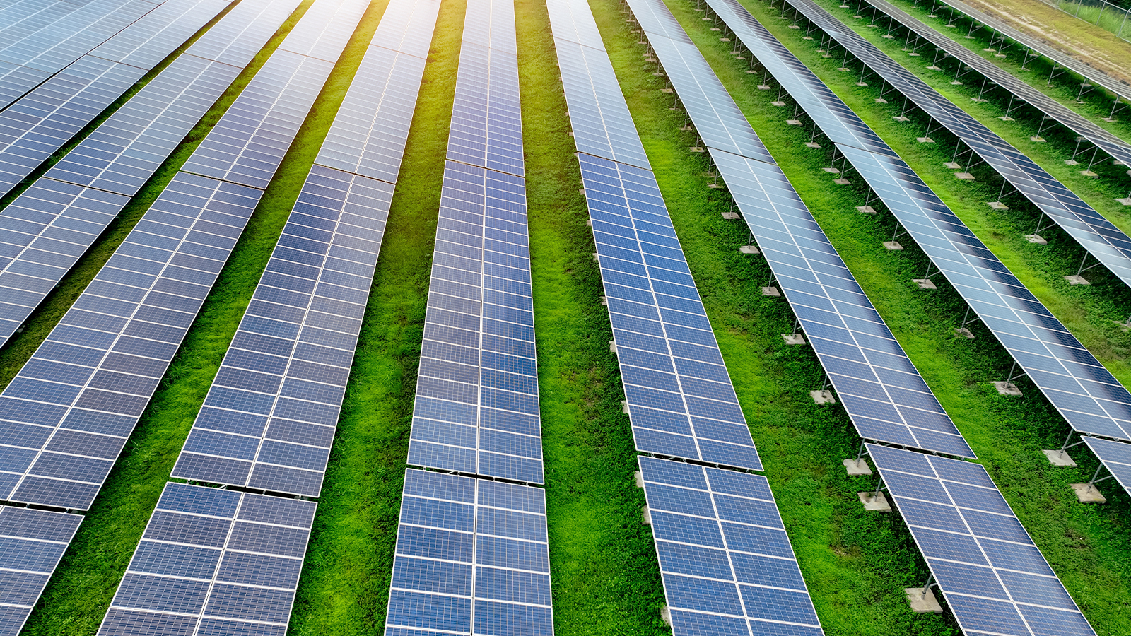 Renewable Energy Industry