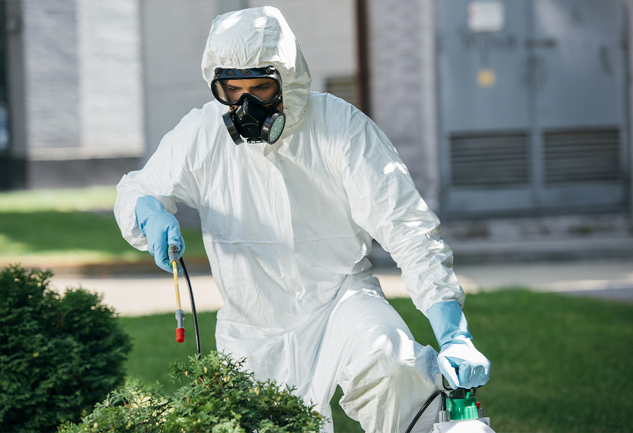 Pesticide Respirator Clearance